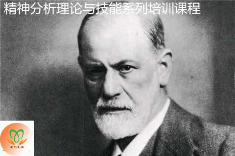精神分析取向的心理治疗工作坊 精神分析取向的心理治疗工作坊